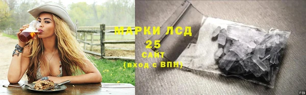 PSILOCYBIN Сатка