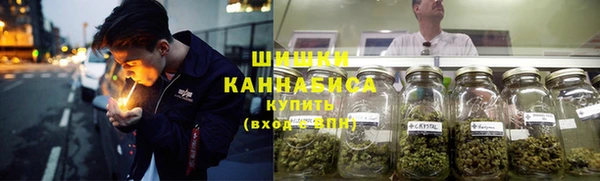 гидра Заволжск