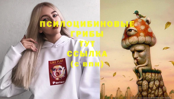 ALPHA PVP Саяногорск
