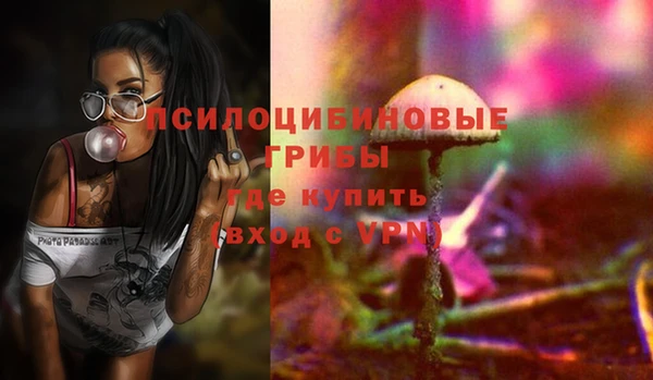 PSILOCYBIN Сатка