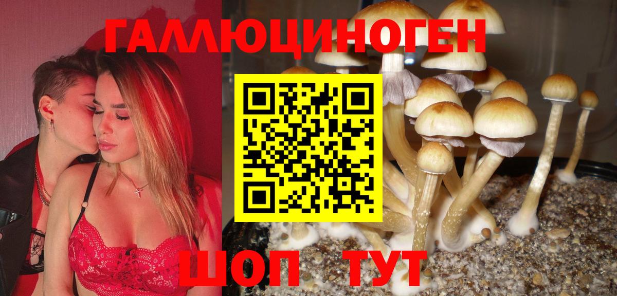 Знаменск  Галлюциногенные грибы Magic Shrooms  Галлюциногенные грибы MAGIC MUSHROOMS  Вход с VPN 